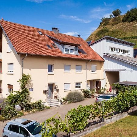 Apartamento Winzerhof Senn Vogtsburg Exterior foto