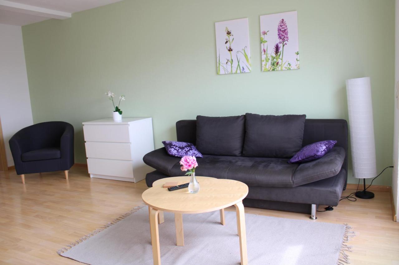 Apartamento Winzerhof Senn Vogtsburg Exterior foto