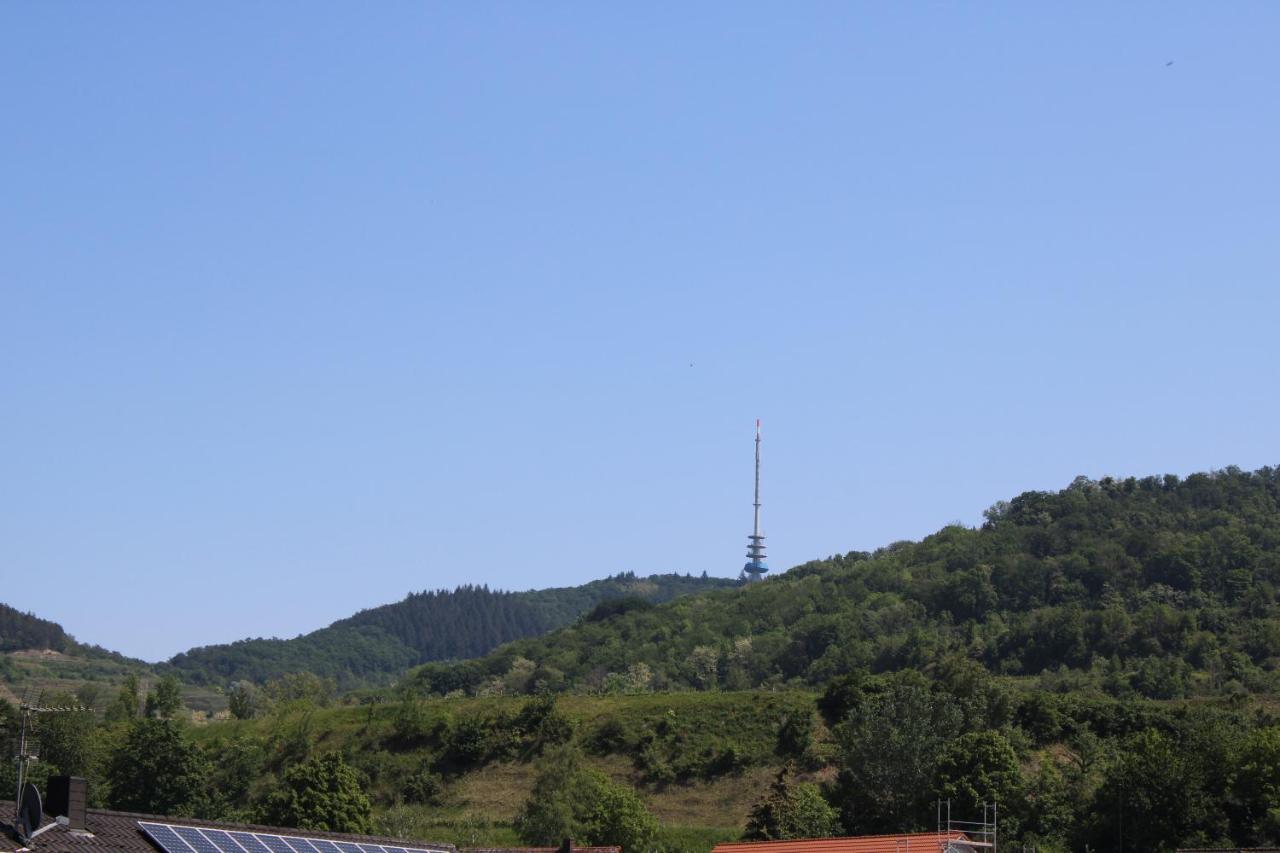 Apartamento Winzerhof Senn Vogtsburg Exterior foto
