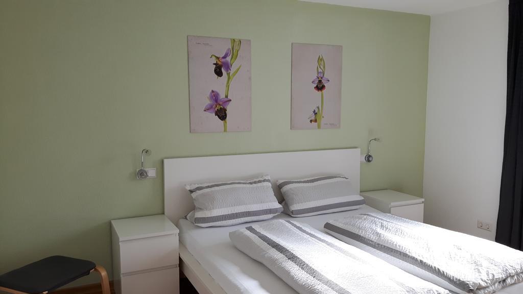 Apartamento Winzerhof Senn Vogtsburg Exterior foto